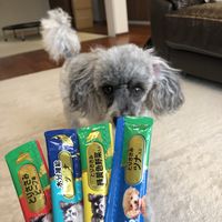 いなば ちゅーる 犬 とりささみ ビーフ入り  総合栄養食 国産（14g×4本）20袋 ちゅ～る ドッグフード 犬用 ウェット おやつ