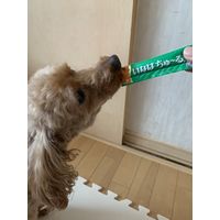 いなば ちゅーる 犬 とりささみ 総合栄養食 国産（14g×4本）6袋 ちゅ～る ドッグフード 犬用 ウェット おやつ