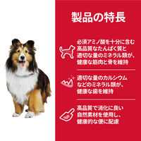 サイエンスダイエット アダルト 成犬用 1歳～6歳 チキン 6.5kg ヒルズ ドッグフード ドライ