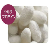 クイック＆リッチ トリートメントインシャンプータオル 愛猫用 20枚入 3個　ライオンペット