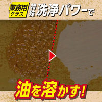 茂木和哉 油汚れ用洗剤 なまはげ 320ml 1個 きれい研究所