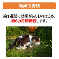 薬用ノミ・マダニとり＆蚊よけ首輪 猫用 ブルー 1個 アース・ペット