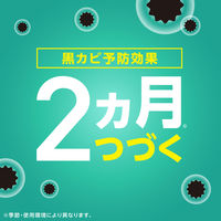 カビ取り 掃除 らくハピ お部屋の防カビ剤 カチッとおすだけ 無香料 60ml 1個 アース製薬