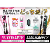 デンタルプロ デンタルプロブラック 超極細毛 超コンパクト やわらかめ 4973227217307 1箱