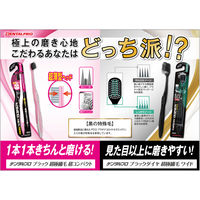 デンタルプロ デンタルプロブラック 超極細毛 超コンパクト ふつう 4973227217314 1箱