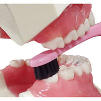 デンタルプロ デンタルプロブラック 超コンパクト ふつう 4973227209326 1本