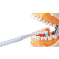 DENTALPRO（デンタルプロ） ポイントブラシ ふつう デンタルプロ 歯ブラシ