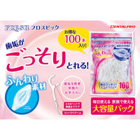 デンタルプロ FRESH フロスピック 100P 4973227417356 1個