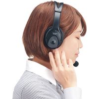 サンワサプライ イヤースポンジ(2個セット) MM-HSPA12 1個