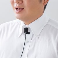 サンワサプライ ピンマイク(MM-SPAMP8WPM用) MM-SPAMP8PM 1個