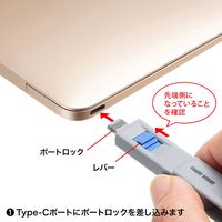 サンワサプライ TypeCポート取付けセキュリティ(eセキュリティ) SLE-46S-BL 1個