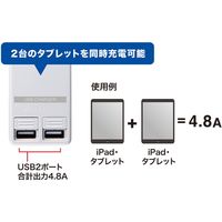 延長コード 電源タップ 3m 2P（ピン） 2個口 シャッター ライトグレー TAP-B110USH-3W サンワサプライ 1本