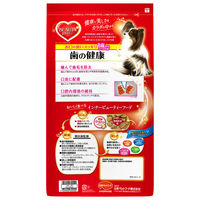 ビューティープロドッグ（Beauty Pro dog）ドッグフード 歯の健康 1歳から 国産 12 3kg（小分け6袋）4袋