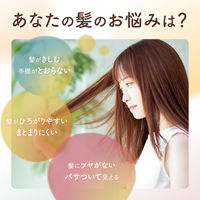 ディアボーテ HIMAWARI（ヒマワリ） オイルインコンディショナー グロス＆リペア スパークリングフローラル 詰め替え 400g