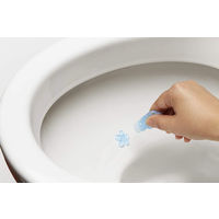 ブルーレットデコラル除菌効果プラス トイレ便器の内側 香りと汚れ着付防止の花びらジェル フレッシュフローラル 約21日分 小林製薬