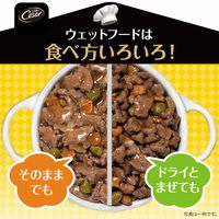 シーザー おうちレシピ ビーフ 100g 24個 ドッグフード ウェット トレイ