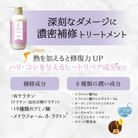 アミノマスターディープリペア トリートメント ポンプ 500g ときわ商会