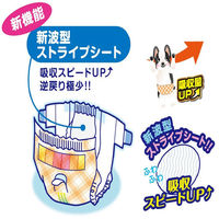 男の子&女の子のための マナーおむつ のび～るテープ付き SSS 64枚 1袋