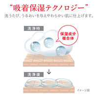 ハダカラ（hadakara）ボディソープ 泡タイプ クリーミーソープの香り詰め替え 440ml 2個 ライオン