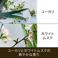 ハーバルエッセンス ビオリニュー アロエ＆ユーカリ コンディショナー 400g P&G