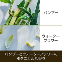 ハーバルエッセンス ビオリニュー アロエ＆バンブ- コンディショナー 400g P&G