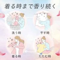 ニュービーズ ローズ＆マグノリアの香り 本体 690g 1個 衣料用洗剤 花王