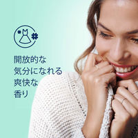 ダウニー（Downy） インフュージョン リフレッシュ（バーチウォーター＆ボタニカル）1.66L 柔軟剤 P&G