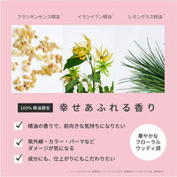 ザ パブリック オーガニック スーパーポジティブ DR シャンプー 詰め替え 400ml 2個 カラーズ