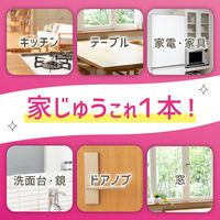 クイックル ホームリセット 泡クリーナー 香りが残らないタイプ つめかえ用 250ml 1セット（2個） 花王