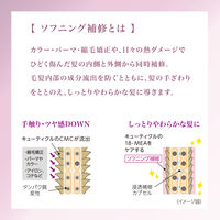 【アウトレット】サロンスタイル BIOLISS ビオリス ボタニカルエステティーク グロスコーティング コンディショナー詰め替え 400ml 2個