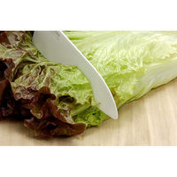 京セラ（KYOCERA） セラミックナイフ 三徳 包丁 刃渡14cm ピンク FKR-140PK