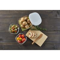 HARIO（ハリオ） 耐熱ガラス製保存容器 1セット（250ml×2個、600ml×1個） ホワイト