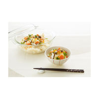 iwaki（イワキ） ボウル 2.5L 1個 AGCテクノグラス