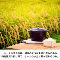 ストウブ （staub） ラ ココット de GOHAN M ブラック 16cm ご飯鍋 炊飯 2合 鋳物ホーロー 鍋 【日本正規販売品】【送料無料】