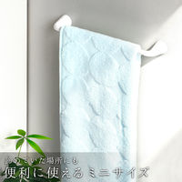 タオル掛け ウルトラマグネットミニ レック