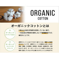 フェイスタオル オーガニックコットン ブルー（青） 約34×80cm 2枚セット 林