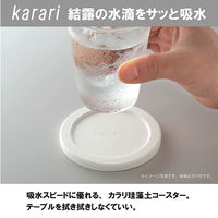 karari（カラリ） 珪藻土 コースタースクエア フォレスト 1個 アネスティカンパニー