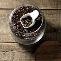 karari（カラリ） 珪藻土 コーヒーメジャースプーン 30ml 1個 アネスティカンパニー