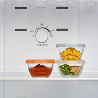 HARIO（ハリオ） 耐熱ガラス製保存容器 ミニ角小鉢 シリコーンフタ 1セット（3個入） MKK-SI-2024 日本製