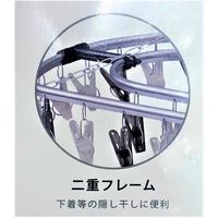 ハンズ オリジナル ポリカーボネート ピンチハンガー44 1個