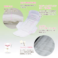 【生理用品】 ナプキン 多い日の昼用 羽つき 23.5cm ナチュラムーン 1個（16枚） G-Place