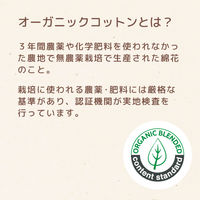 【生理用品】 おりもの専用シート ナチュラムーン 無香料 1個（40枚） G-Place