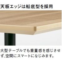 【組立設置込】プラス WX-J3 スクエアテーブル 配線口付 抗菌 幅2400×奥行1200×高さ720mm Pウォルナット×P×銀 1台（直送品）