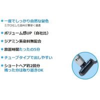 ダリヤ サロンドプロ EX　メンズヘアマニキュア（白髪用） 6　ダークブラウン 4904651182930 1個（直送品）