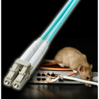 サンワサプライ  補強メガネ型光ファイバケーブル（マルチOM3、LC×2-LC×2、5m） HKB-HOM3LCLC-05（直送品）