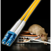 サンワサプライ  補強メガネ型光ファイバケーブル（シングルモード、LC×2-LC×2、10m） HKB-HLCLC1-10（直送品）