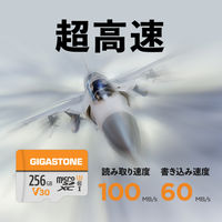 GIGASTONE microSDXCカード U3 V30 256GB2 2枚入り GJMXR-OG256GV30-2PK 1セット