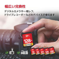 GIGASTONE SDXCカード UHSー1 U1 class10 128GB 2枚入り GJSXR-128GU1-RED-2PK 1セット
