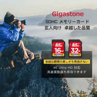 GIGASTONE SDHCカード UHSー1 U1 class10 32GB 2枚入り GJSXR-32GU1-RED-2PK 1セット