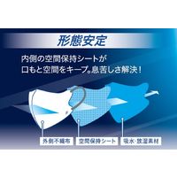 白元アース 快適ガード 息スーハーマスク 58143-0 1袋(5枚入) ホワイト×ブルーグレー バイカラー 立体タイプ  JIS規格 一般用マスク適合